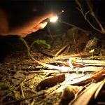 RovyVon_Angel_Eyes_E90_Flat_EDC_Flashlight 09 | Knives | Survival, Outdoor, EDC